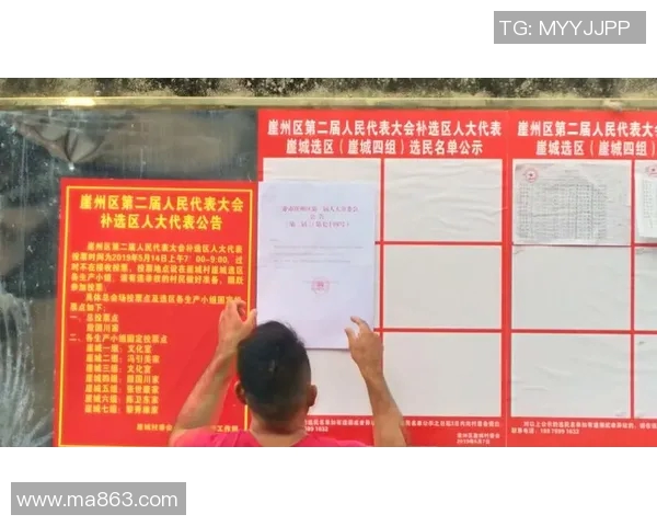 选举制度与民意表达：探析现代选举中公民参与和候选人竞争的互动关系